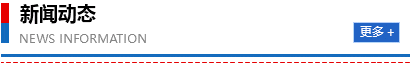新闻动态